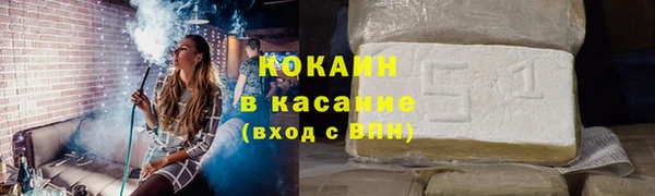 гидра Богородицк