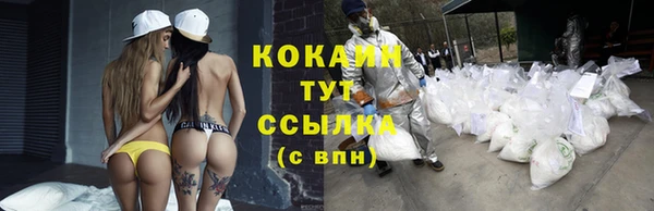 гидра Богородицк