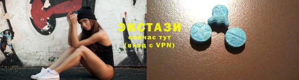 гидра Богородицк