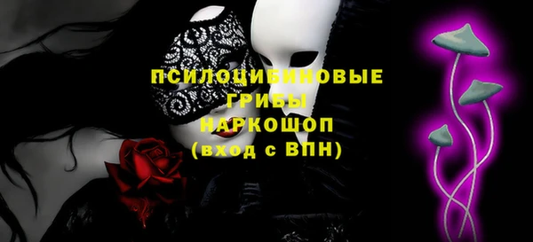 первитин Богданович