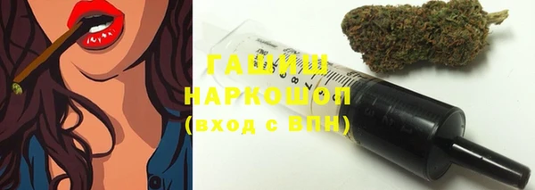 гидра Богородицк