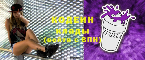 гидра Богородицк