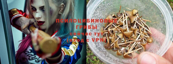 гидра Богородицк