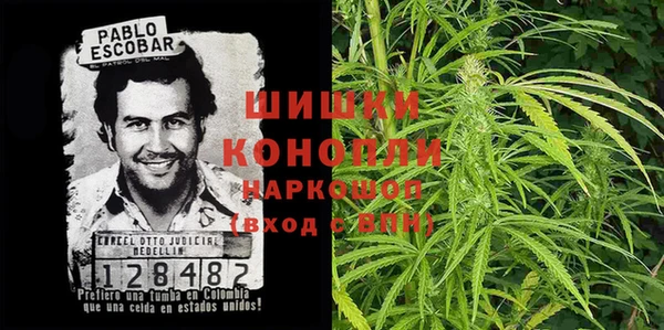 первитин Богданович
