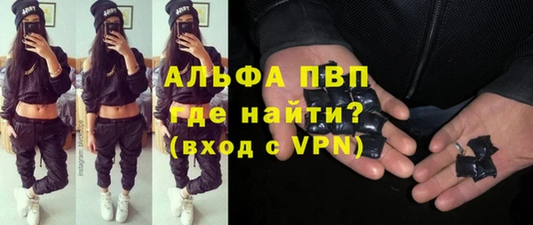 гидра Богородицк