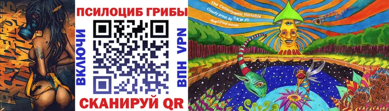 Галлюциногенные грибы MAGIC MUSHROOMS  цены наркотик  MEGA зеркало  Котово 